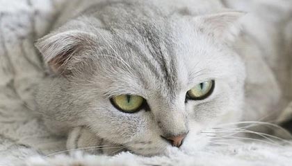 星空体育官方网站-勇士赛后安排心理辅导缓解球员精神压力，勇士队内训练赛