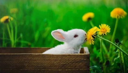 星空体育官方网站-勇士赛后安排心理辅导缓解球员精神压力，勇士队内训练赛