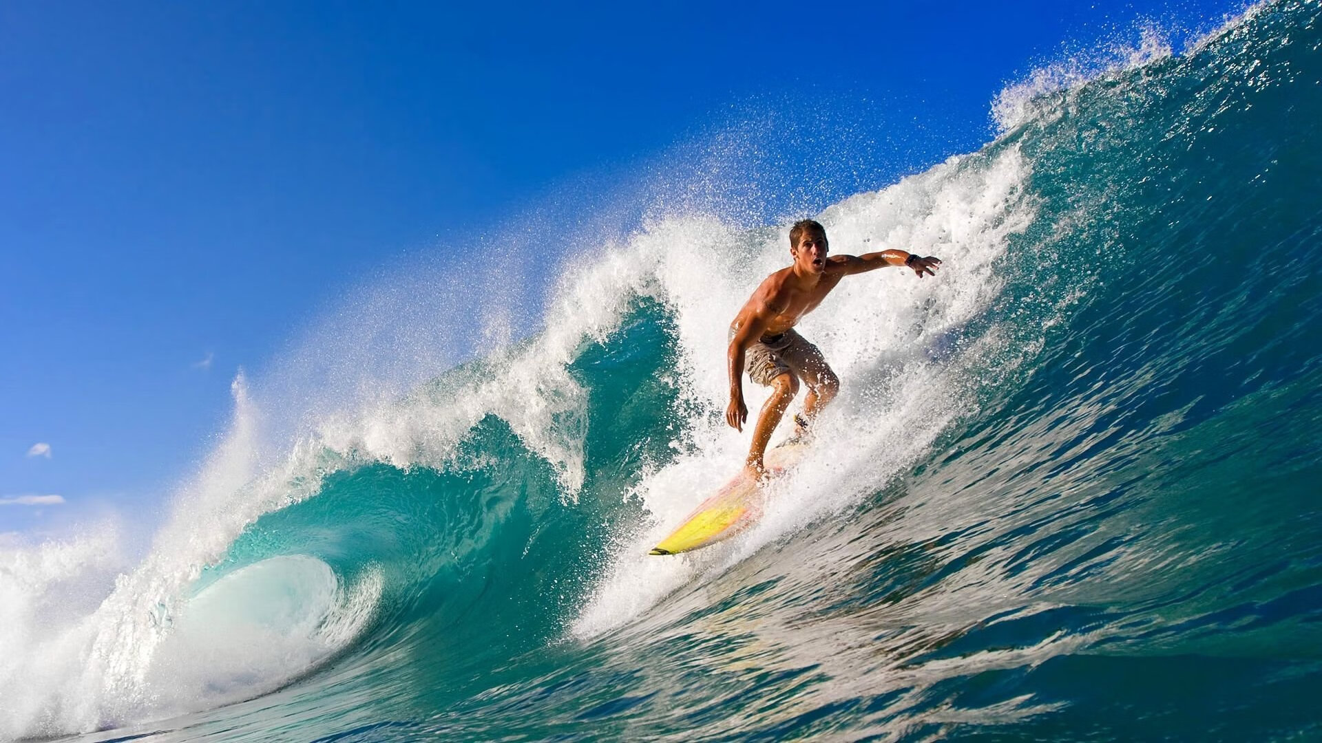 TES强势反弹晋级季后赛，tes后续赛程