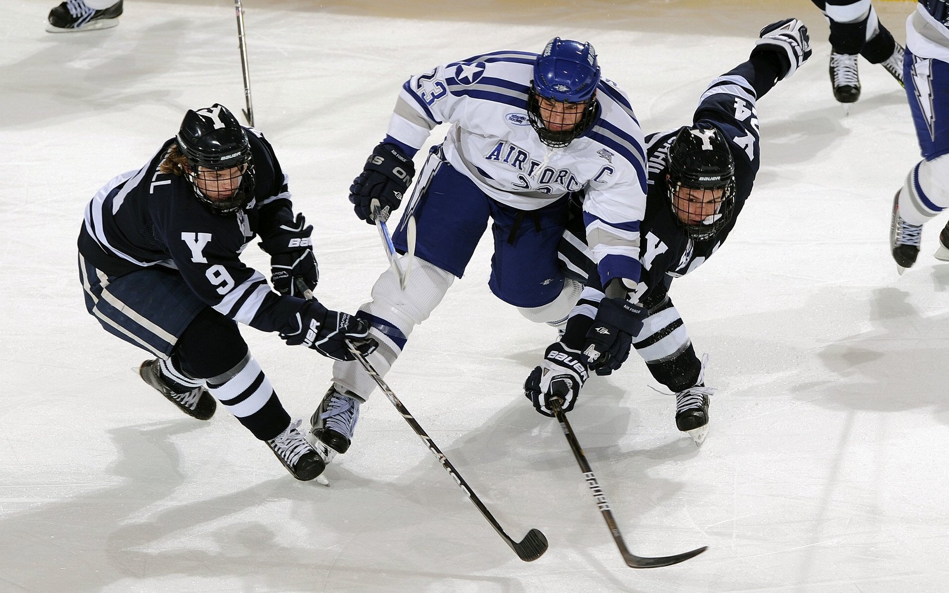 星空体育在线官网-体育新闻中心深度参与国际体育大会，体育国际会议